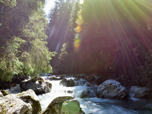 Bergbestattung-Bergbach_Martigny_Schweiz