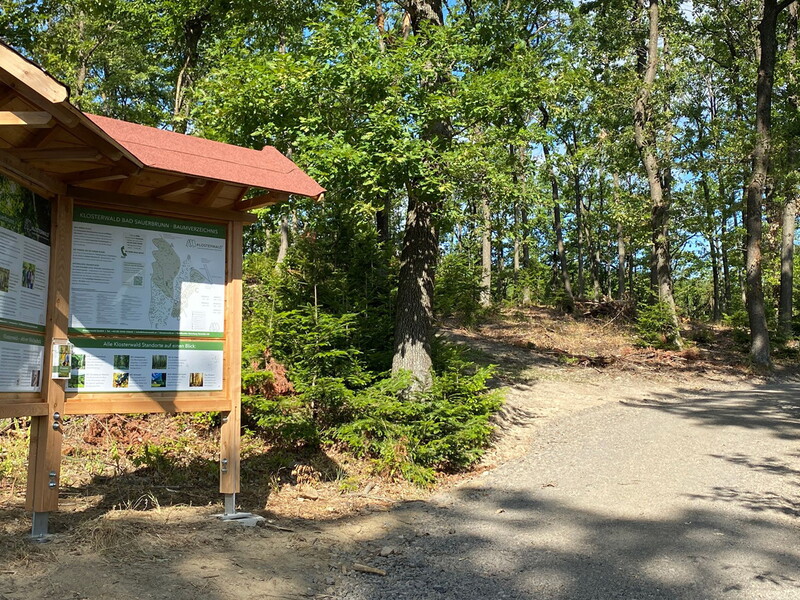 Klosterwald Bad Sauerbrunn