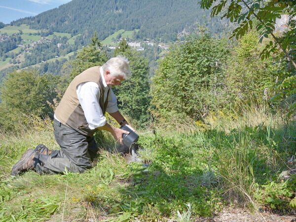 Bergbestattung Almwiesenbestattung Schweiz