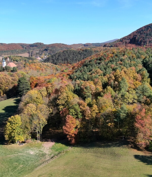 Baumbestattung Klosterwald