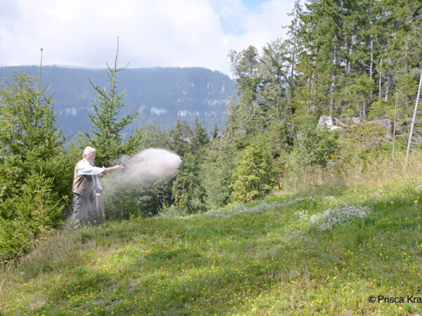 Bergbestattung-Asche-in-den-Wind-Schweiz