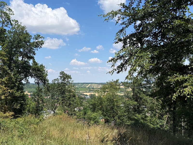 Klosterwald Bad Sauerbrunn