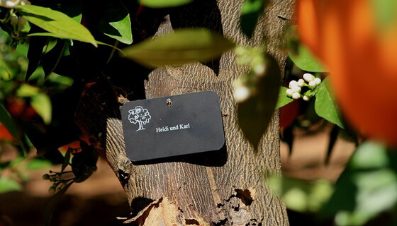 Weitere "GRÜNE" Alternativen Weitere "GRÜNE" Alternativen