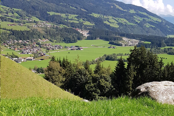 Almwiesenbestattung Friedburg Anger