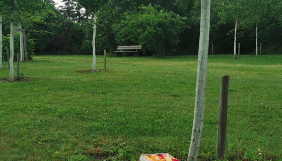 Urnenwald und "Paradieschen" Urnenwald und "Paradieschen"