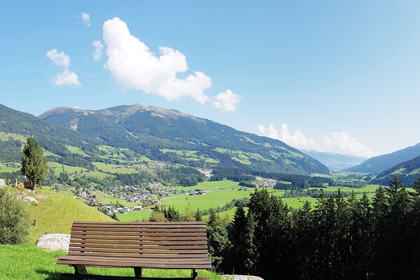 Almwiesenbestattung Friedburg Anger