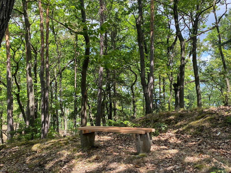 Klosterwald Bad Sauerbrunn