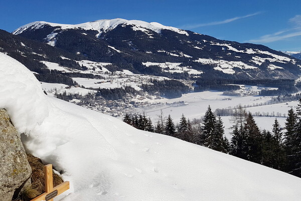 Almwiesenbestattung Friedburg Anger